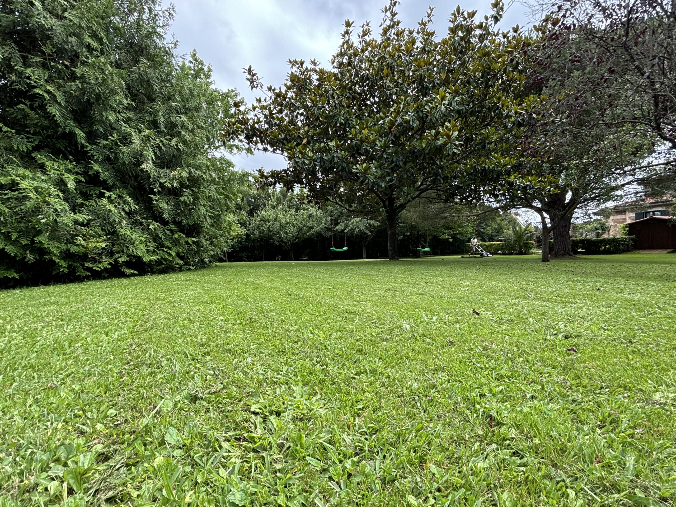 Mantenimiento de jardines en Santander y alrededores | Ingenia Jardín