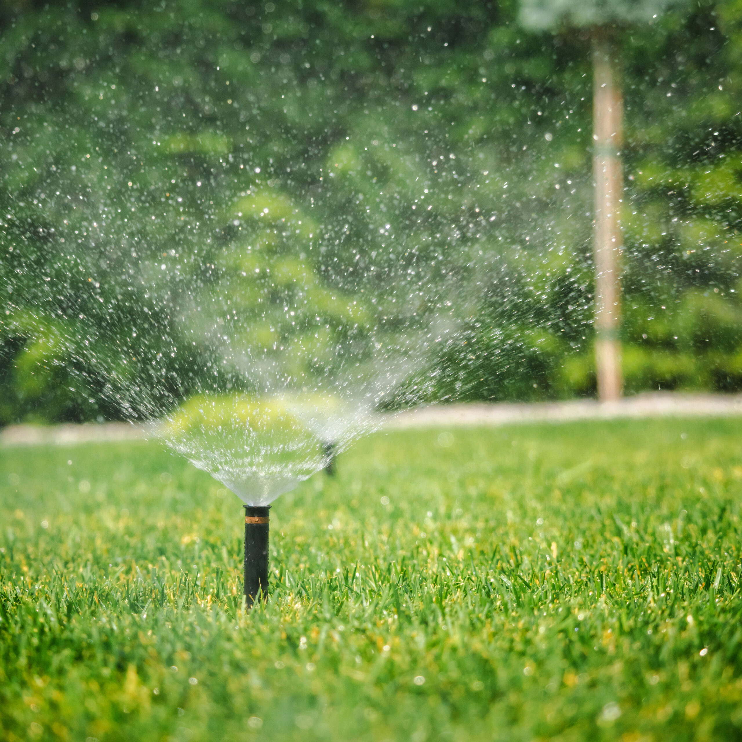 Riego automático en Santander y Cantabria | Ingenia Jardín
